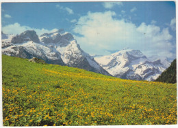 Gsteig. Schlauchhorn Und Oldenhorn - (Suisse/Schweiz) - Gsteig Bei Gstaad