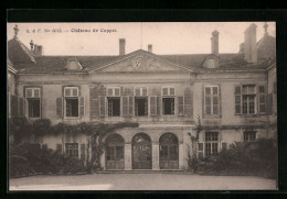 AK Coppet, Château De Coppet - Coppet