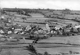 BELGIQUE - La Reid - Panorama - Village - Eglise - Tour - Maison - Champ - Route - Edit Lander - Carte Postale - Theux