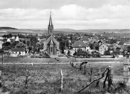FRANCE - Kirchheim - Total - Eglise St Martinus - Troupeau - Vaches - Village - Maison - Champ - Carte Postale - Molsheim