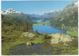 Engadin Mit Piz La Margna - (Suisse/Schweiz) - Sils Im Engadin/Segl
