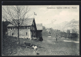 AK Flums, Ferienheim Vadella Mit Ziegen - Flums