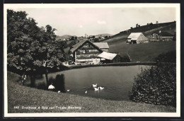 AK Hemberg, Gasthaus & Bad Zur Traube - Hemberg