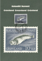 Groenland 1984, Card Unused, Fish, Spotted Sea Wolf (Anarhichas Minor) - Cartes-Maximum (CM)