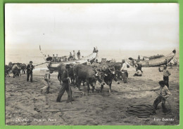 Delcampe - Espinho - Praia De Pesca - Pescadores - Costumes Portugueses - Portugal (Fotográfico) - Aveiro