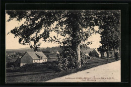 AK Schellerhau I. Erzgeb., Strassenpartie Im Luftkurort - Schellerhau