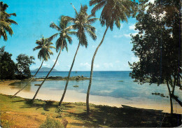 CPM Seychelles Mahe Petit Port From Fisherman's Cove - Seychellen