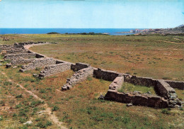 ESPAGNE - Costa Brava - N 1417 - Ampurias - Anfiteatro Romano -  Escala - VCEd Y Distr Fabregat Unión - Carte Postale - Gerona