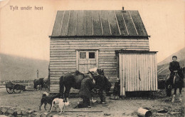 ISLANDE - Tylt Undir Hest - Cheval - Charrette - Chien - Enfant - Animé - Edit O. Johnson & Kaa - Carte Postale Ancienne - Islanda