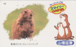 Télécarte JAPON / 110-011 - ANIMAL Rongeur - MARMOTTE CHIEN DE PRAIRIE - MARMOT Rodent JAPAN Phonecard 197 - Autres & Non Classés
