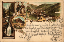 Delcampe - CPA Triberg- Souvenir GERMANY (906248) - Triberg