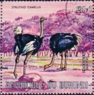 BURUNDI -  Autruche Commune (Struthio Camelus) - Autruches