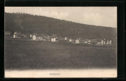 AK Cernier, Ortsansicht Vom Feld Aus - Cernier