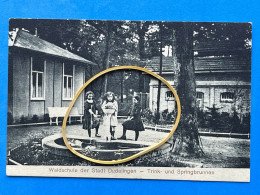 Luxembourg - Dudelange - Waldschule Der Stadt Düdelingen - Trink- Und Springbrunnen - Düdelingen