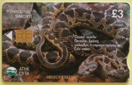 SERPENT - Télécarte De Chypre / Thème Animaux, Reptile - Autres & Non Classés