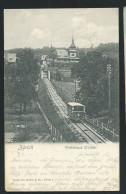 ZÜRICH - WALDHAUS DOLDER Maca5021 - Wald
