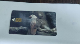 MAURITIUS-(MU-MAU-0087)-Pink Pigeon-(6)-(240units--R200)-(8/2001)-(1000776809)-(tirage-40.000)-good Card - Mauritius