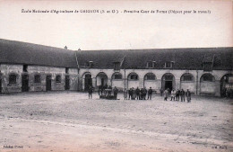 78* GRIGNON Ecole Nationale Agriculture – Cour De Ferme        RL50,1480 - Grignon
