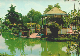 TÁBUA, Coimbra - Coreto No Parque Da Piedade  (2 Scans) - Portalegre