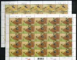 HONGKONG 1497-1499 (25) In 3 Bögen Mnh - Olympische Spiele Beijing, Springreiten, Equestrian - HONG KONG - FDC