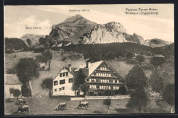 AK Wildhaus, Hotel-Pension Forrer Acker Mit Blick Auf Säntis Und Schafberg - Wil