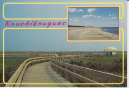 Kouchibouguac National Park Nouveau Brunswick Kellys Beach And Boardwalk Plage Kellys Et Passerelle  CM 2 Sc - Sonstige & Ohne Zuordnung