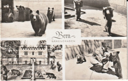 BERN - Berthoud