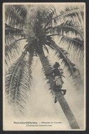 CPA Nouvelles Hébrides Vanuatu Non Circulée Type - Vanuatu