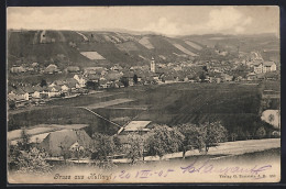 AK Huttwil, Teilansicht Mit Bäumen - Huttwil