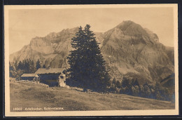AK Adelboden, Gehöft Mit Schirmtanne - Adelboden