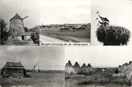 Burgenlandidylle Im Seewinkel - Neusiedlerseeorte