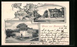 AK Amriswil, Schloss Hagenweil Und Bahnhofstrasse - Amriswil