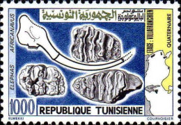 Tunisie (Rep) Poste N** Yv: 971 Mi:1034 Elephas Africanavus Fossile - Fossils