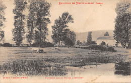 88-COUSSEY-PATURAGE SUR LA MEUSE-N°378-E/0319 - Coussey