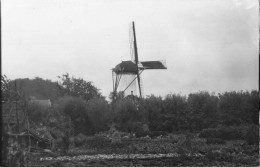 Axel Molen Eben Haëzer 4407 - Axel