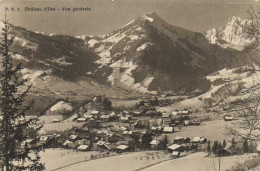 Chateau D' Oex Vue Generale RV - Château-d'Œx