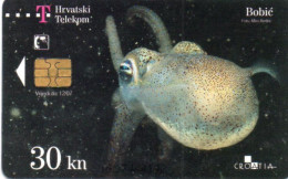 CROATIA - CHIP CARD - BOBIC - CUTTLEFISH - TRANSPARENT CARD - HIGHLY USED - Croatia