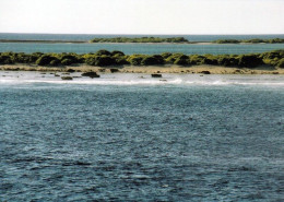 2 AK Ducie Island / Pitcairn * 2 Ansichten Der Zu Pitcairn Gehörenden Insel Ducie - Das Südlichste Atoll Der Erde * - Pitcairn