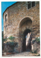 Delcampe - CPSM / CPM 10.5 X 15 Tarn CORDES Portail Peint - Cordes
