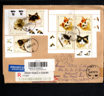 ROUMANIE DEVANT DE LETTRE PRIO RECOMMANDEE  POUR LA FRANCE 2009  - CHATS - Briefe U. Dokumente