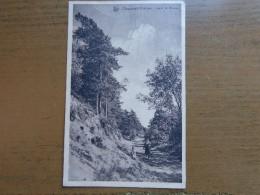 Chaumont - Gistoux: Chemin Du Ronvau -> Beschreven - Chaumont-Gistoux
