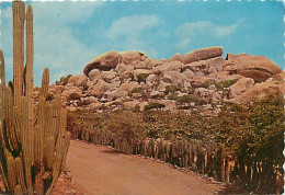 Antilles - Antilles Neérlandaises - Netherlands Antilles - Rock Formation At Ajo - CPM - Voir Scans Recto-Verso - Sonstige & Ohne Zuordnung