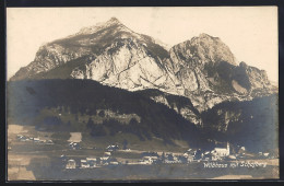 AK Wildhaus, Totalansicht Mit Schafberg - Wil