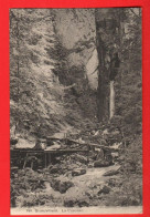 ZZZ-02 Grandvillard  La Cascade  Et Le Pont. Paul Savigny 640  NC - Grandvillard