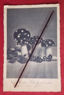 CPA - Champignons - Champignon - Pilze