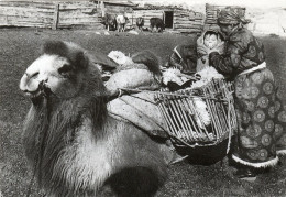 - MONGOLIE. - The Visitors - Stamps - Scan Verso - - Mongolia
