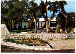 Delcampe - Corse Du Sud - 2A : Porto-Vecchio : Clinique Du Sud De La Corse - Andere & Zonder Classificatie