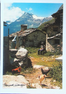 Delcampe - ► Ferme De Montage - Berger  Photo Bernard Grange - Bauernhöfe