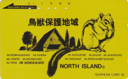 Rare Télécarte JAPON / 110-011 - SERIE ANIMAL NORTH ISLAND HOKKAIDO - ECUREUIL - SQUIRREL JAPAN Phonecard - Autres & Non Classés