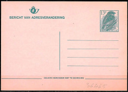 Belgio/Belgium/Belgique: Intero, Stationery, Entier, Passero Domestico, House Sparrow, Moineau Domestique, (Passer Domes - Moineaux